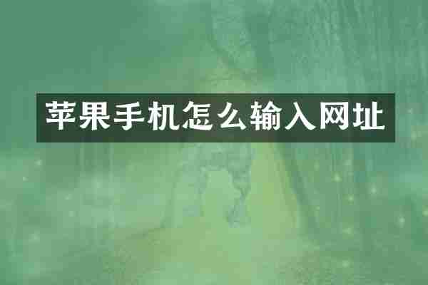 苹果手机怎么输入网址