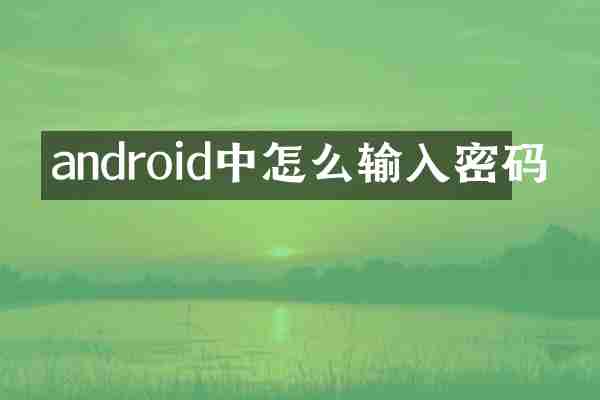android中怎么输入密码