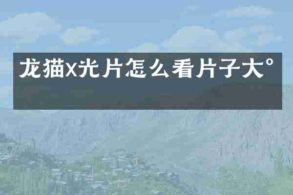 龙猫x光片怎么看片子大小