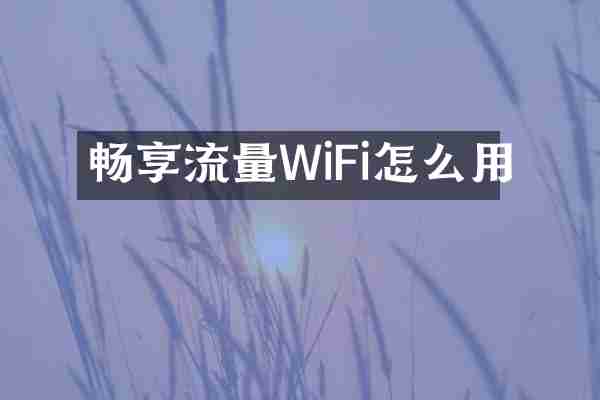 畅享流量WiFi怎么用