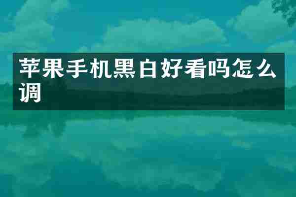 苹果手机黑白好看吗怎么调