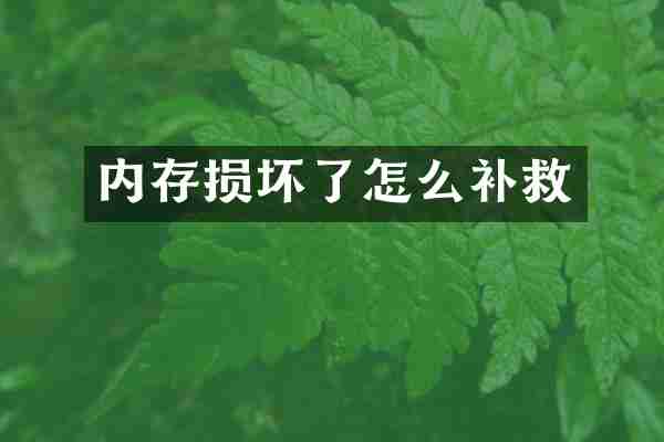 内存损坏了怎么补救