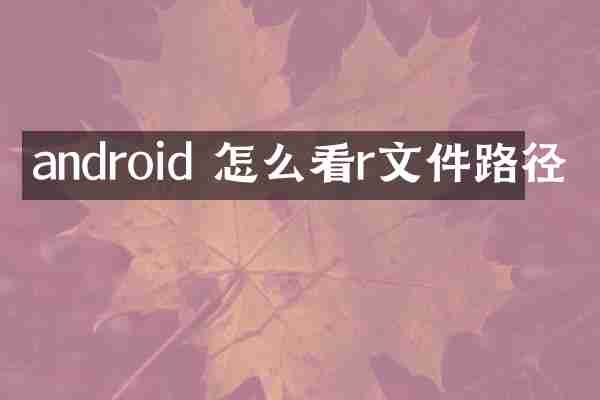 android 怎么看r文件路径