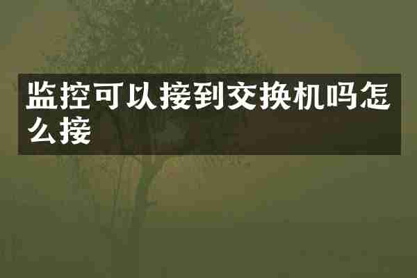 监控可以接到交换机吗怎么接