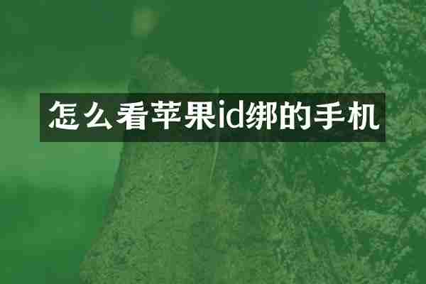 怎么看苹果id绑的手机