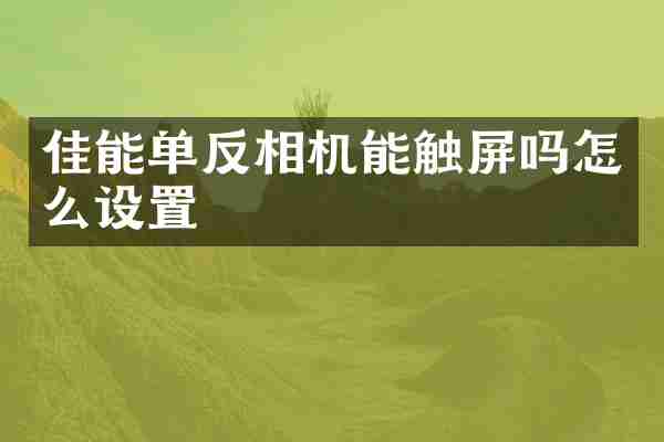 佳能单反相机能触屏吗怎么设置