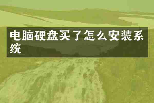 电脑硬盘买了怎么安装系统