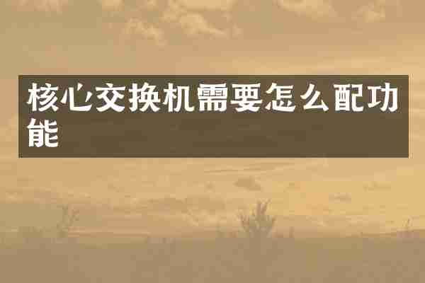 核心交换机需要怎么配功能