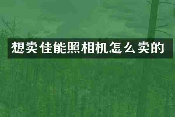 想卖佳能照相机怎么卖的