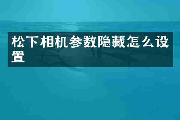 松下相机参数隐藏怎么设置
