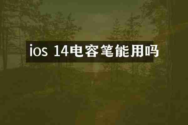 ios 14电容笔能用吗