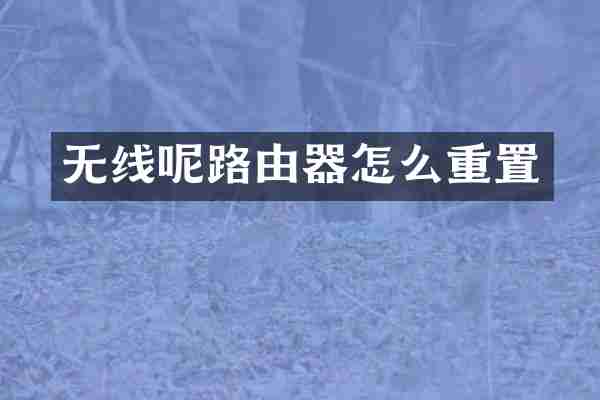 无线呢路由器怎么重置