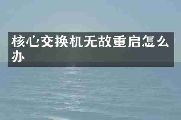 核心交换机无故重启怎么办