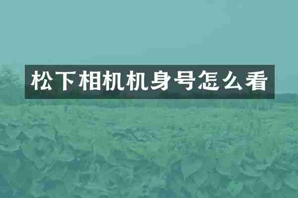 松下相机机身号怎么看