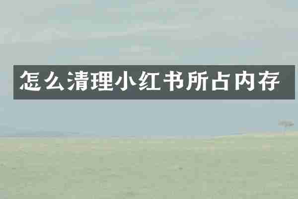怎么清理小红书所占内存