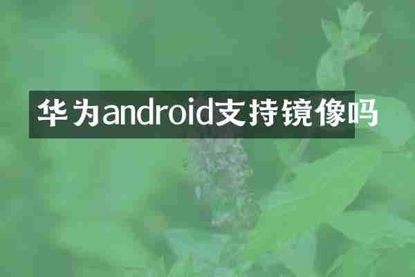 华为android支持镜像吗