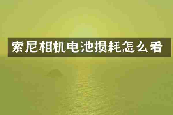 索尼相机电池损耗怎么看