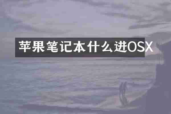 苹果笔记本什么进OSX
