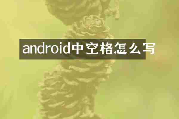 android中空格怎么写