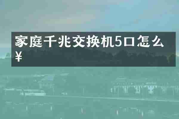 家庭千兆交换机5口怎么接