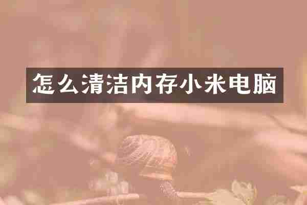 怎么清洁内存小米电脑