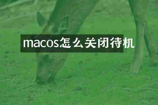 macos怎么关闭待机