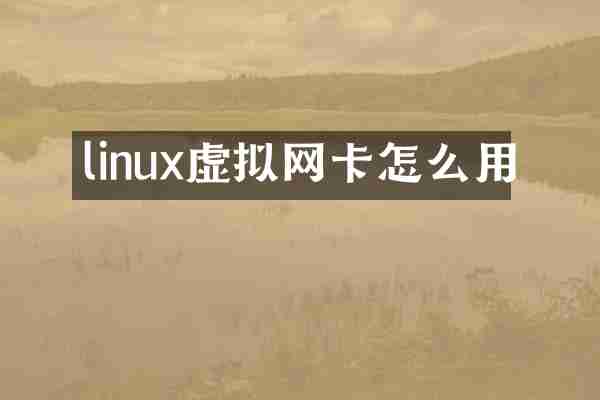linux虚拟网卡怎么用