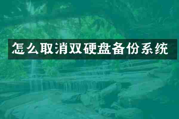 怎么取消双硬盘备份系统