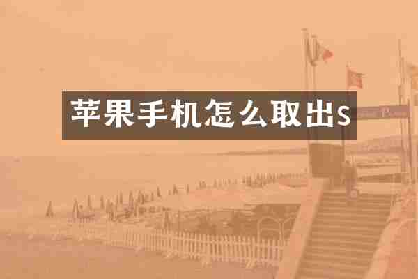 苹果手机怎么取出s