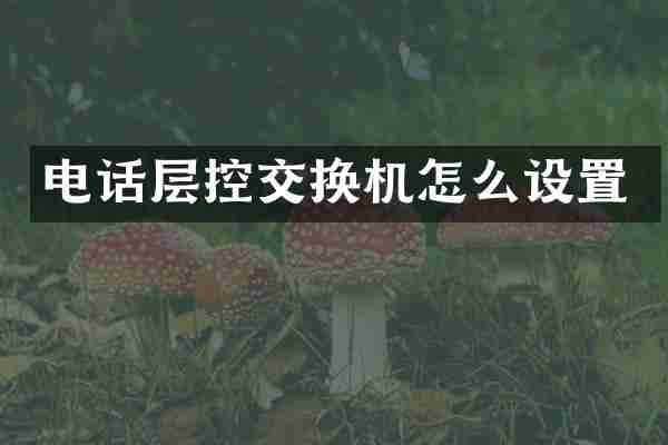电话层控交换机怎么设置