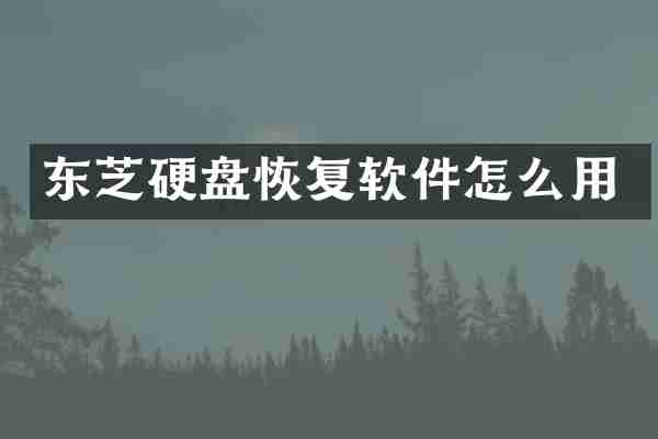 东芝硬盘恢复软件怎么用