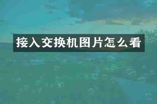 接入交换机图片怎么看