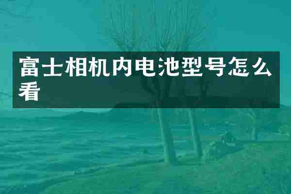 富士相机内电池型号怎么看
