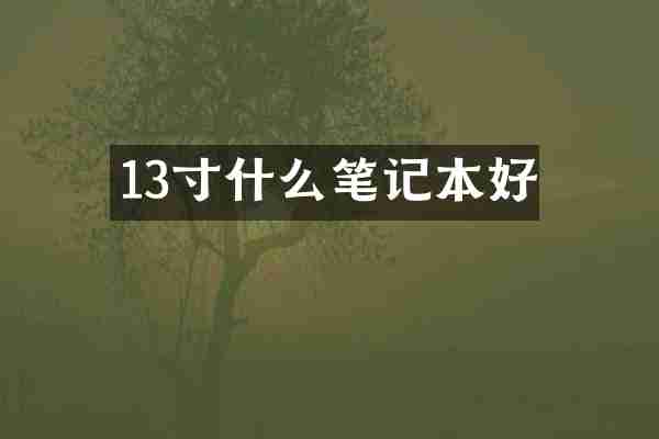 13寸什么笔记本好