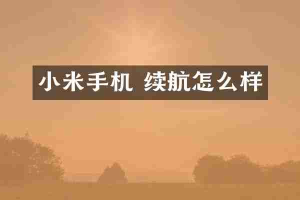 小米手机 续航怎么样