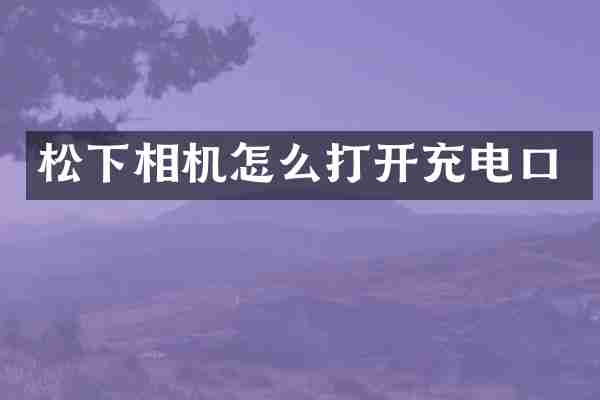 松下相机怎么打开充电口