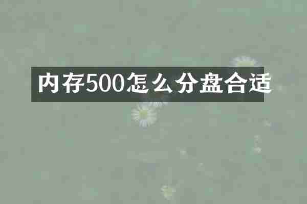 内存500怎么分盘合适