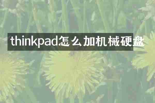 thinkpad怎么加机械硬盘