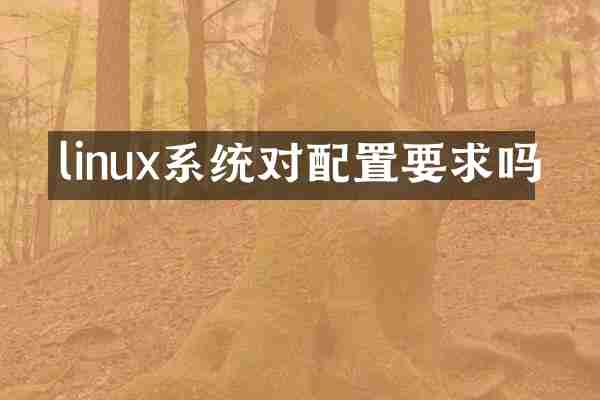 linux系统对配置要求吗