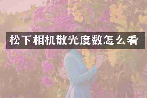 松下相机散光度数怎么看