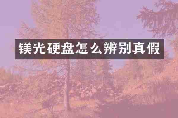 镁光硬盘怎么辨别真假