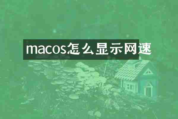 macos怎么显示网速