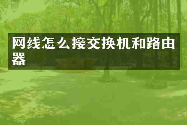 网线怎么接交换机和路由器