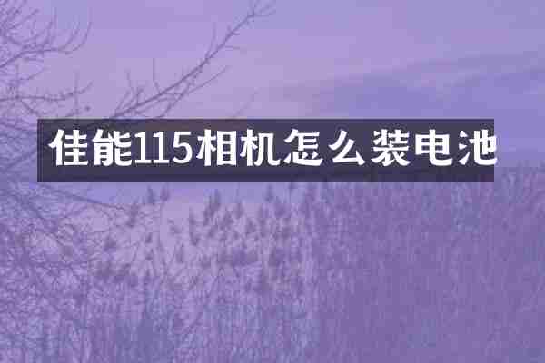 佳能115相机怎么装电池