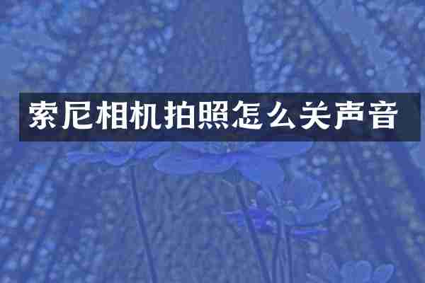 相机拍照怎么关声音
