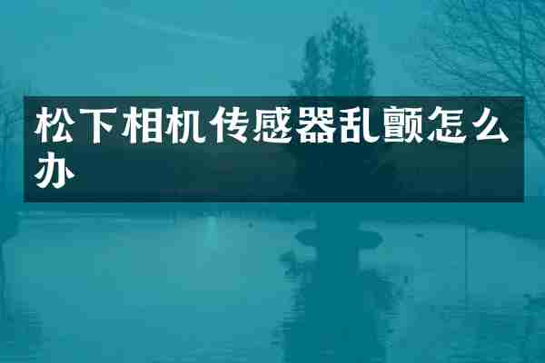 相机传感器乱颤怎么办