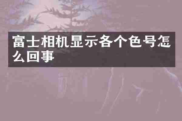 富士相机显示各个色号怎么回事