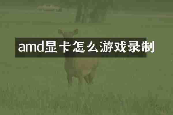amd显卡怎么游戏录制