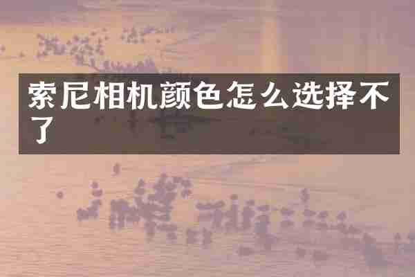 索尼相机颜色怎么选择不了