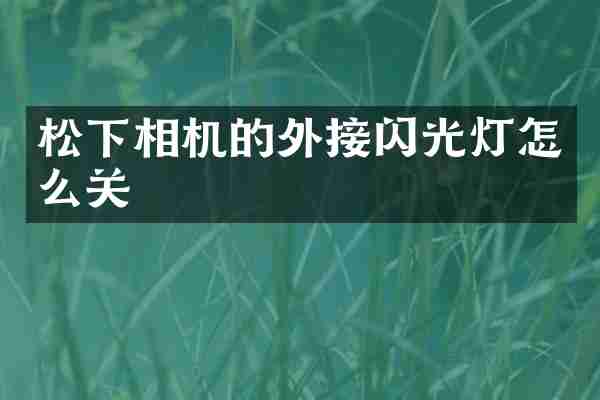 松下相机的外接闪光灯怎么关